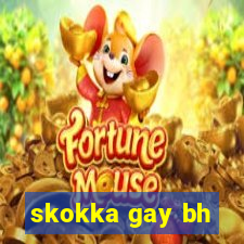 skokka gay bh